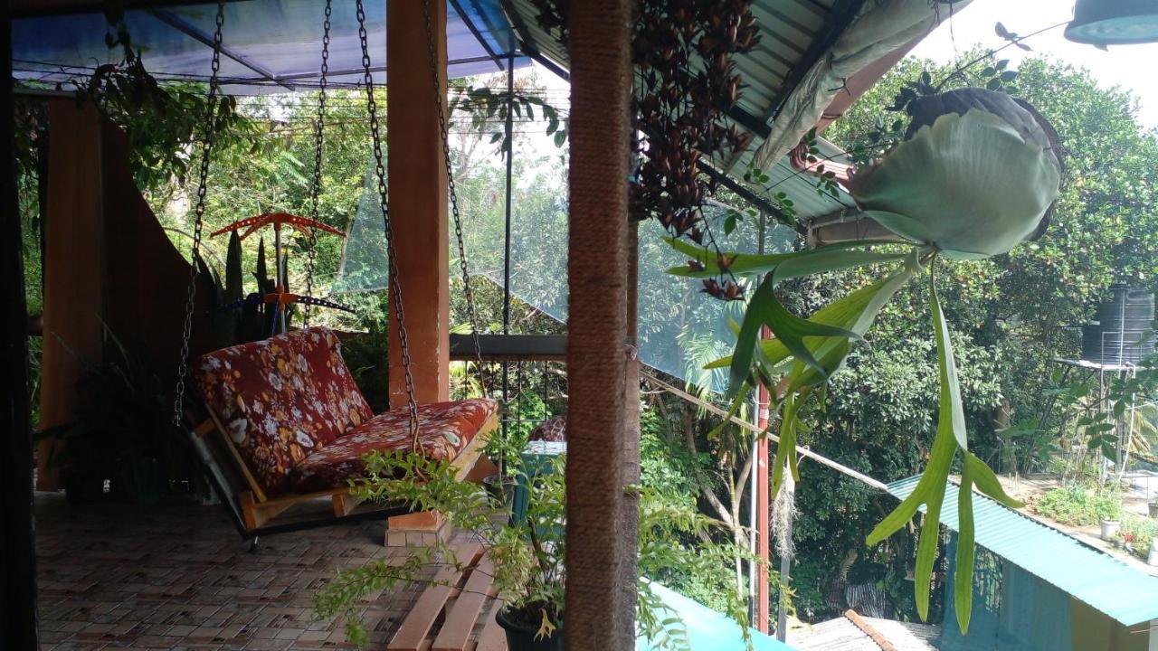 Secret View Homestay אלה מראה חיצוני תמונה