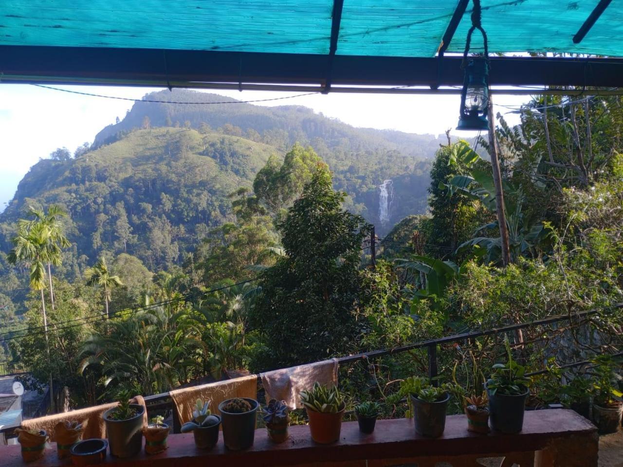 Secret View Homestay אלה מראה חיצוני תמונה